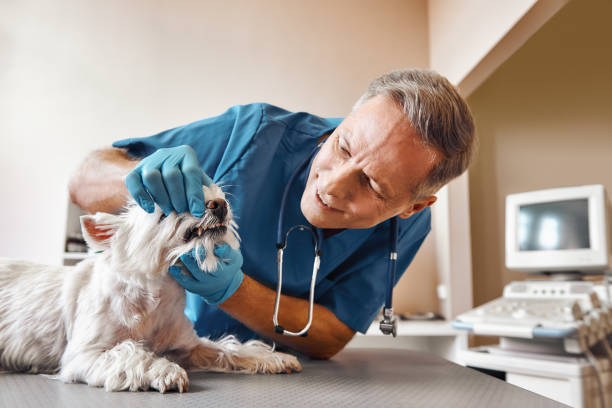 Best Emergency Root Canal Therapy in Nacogdoches, TX